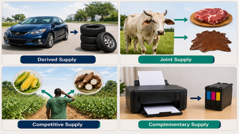 Supply and Types of Supply – SHS 1 Economics