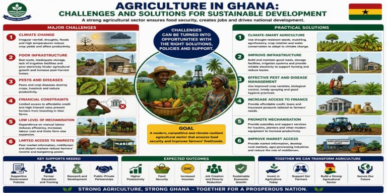 Challenges And Solutions To The Agricultural Sector In Ghana for SHS 2 Economics – Educational Illustration
