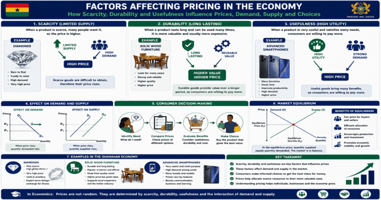 Factors That Affect Pricing In The Economy for SHS 1 Economics – Educational Illustration