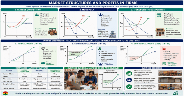 Types Of Profits In Each Market Structure for SHS 2 Economics – Educational Illustration