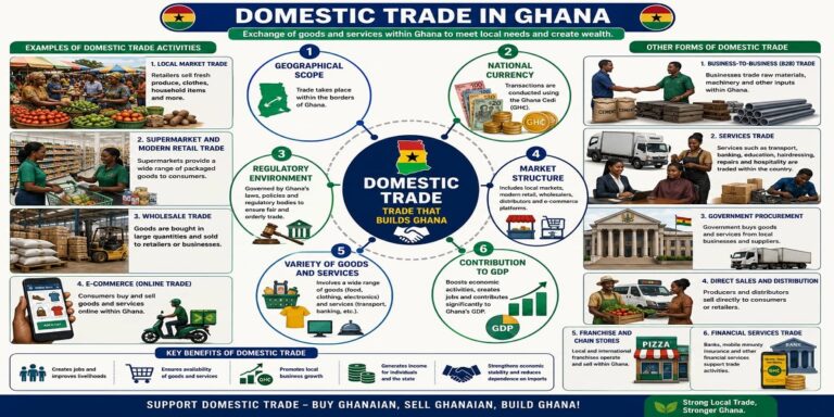 The Features of Domestic Trade for SHS 1 Economics – Educational Illustration