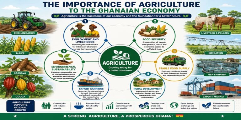The Importance of Agriculture to the Ghanaian Economy for SHS 1 Economics – Educational Illustration