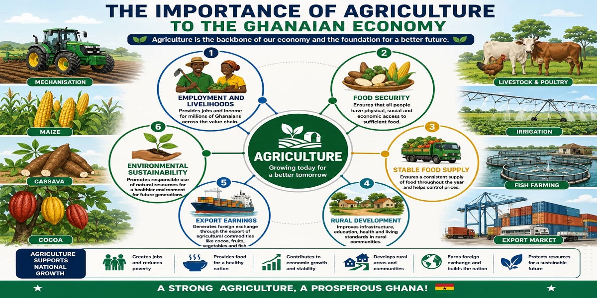 The Importance of Agriculture to the Ghanaian Economy for SHS 1 Economics – Educational Illustration