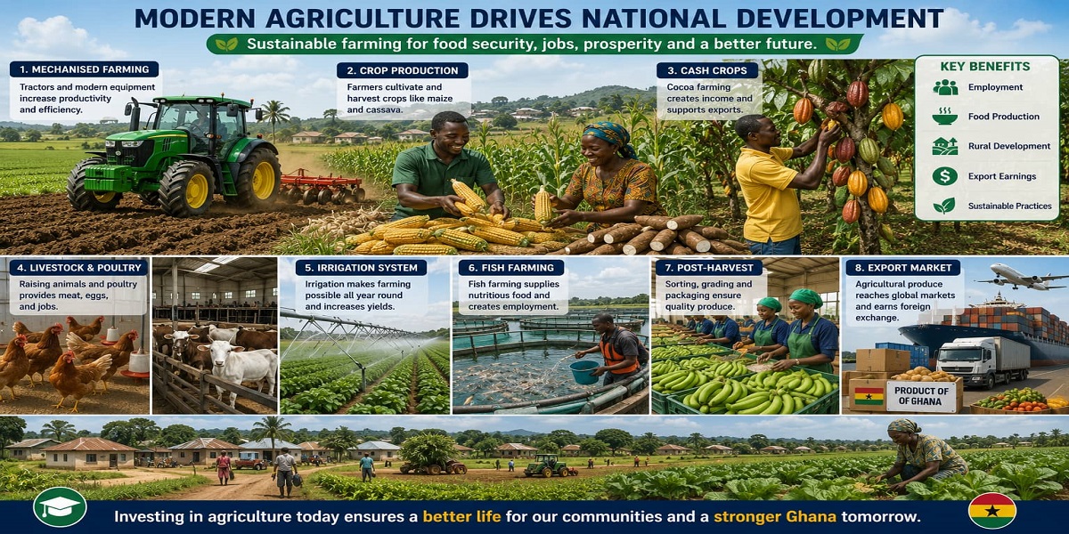The Importance of Agriculture to the Ghanaian Economy for SHS 1 Economics – Educational Illustration