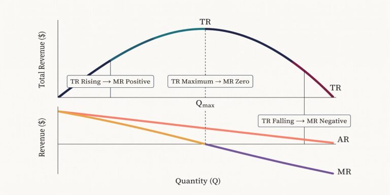 SHS 2 Economics lesson showing total average and marginal revenue curves